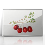 Acrylic print of colorful fruits in art deco style, framed in white, suitable for modern nursery decor.