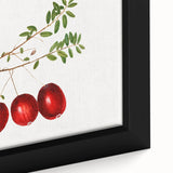 Extra large black wall art on canvas featuring a textured, colorful fruit design, ideal for living room decor.