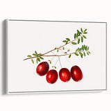 Vintage poster art of colorful fruits on a white framed canvas, ideal for living room decor.
