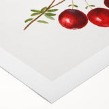 Art deco poster featuring an assortment of vibrant fruits on a rolled canvas, suitable for dining room decor.