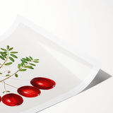 Extra large wall art depicting line art flowers in black on white, rolled print format.