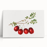 Large black and white wall art of assorted fruits on stretched canvas, ideal for kitchen wall art.