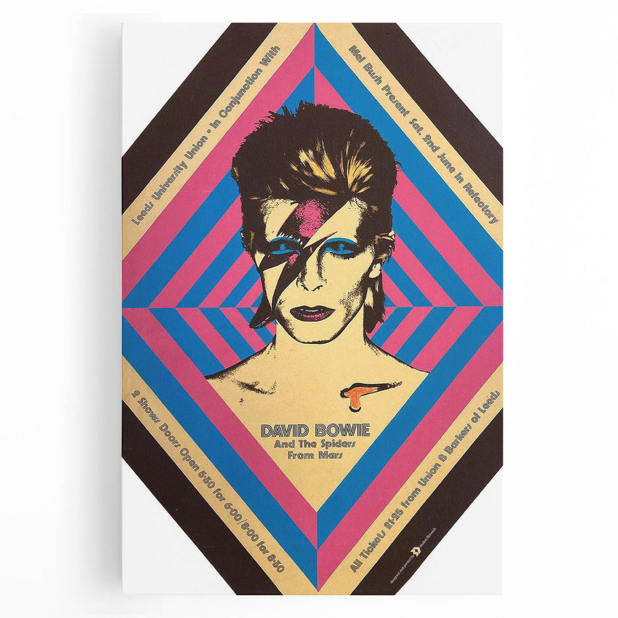 David Bowie Ziggy Stardust Retro Poster - Vintage Concert Art
