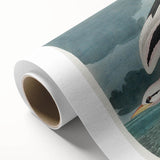 Tropic Bird Realism Art Print - John James Audubon Bird Illustration, 1827