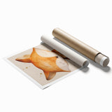 Fox with Star - Kids Room Wall Art Canvas and Framed Options