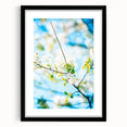 Extra large abstract art print featuring vibrant spring colors on textured canvas, framed in black.
