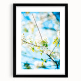 Extra large abstract art print featuring vibrant spring colors on textured canvas, framed in black.