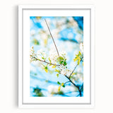 Abstract art print featuring swirling spring hues on a white framed canvas, ideal for dining room or bedroom decor.