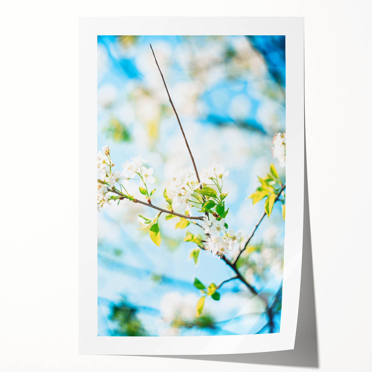 Spring-themed floral art on a rolled canvas, featuring soft pastel shades, ideal for dining room or bathroom decor.