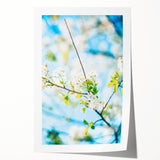Spring-themed floral art on a rolled canvas, featuring soft pastel shades, ideal for dining room or bathroom decor.