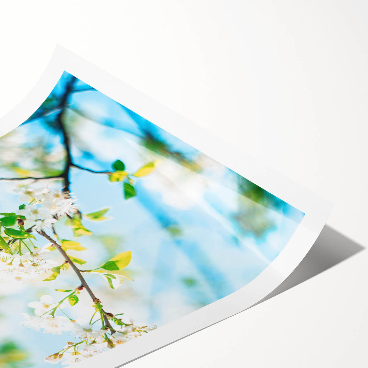 Extra large rolled print featuring line art flowers in soft pastel shades, ideal for large living room wall art.