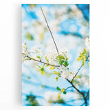 Large black and white abstract art on stretched canvas depicting spring season, suitable for kitchen wall art.
