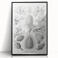 Modern Conifer Botanical Wall Art - Abstract Modern Art Prints