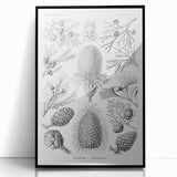 Modern Conifer Botanical Wall Art - Abstract Modern Art Prints