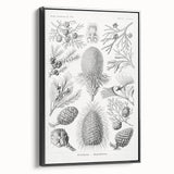 Modern Conifer Botanical Wall Art - Abstract Modern Art Prints