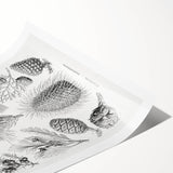 Modern Conifer Botanical Wall Art - Abstract Modern Art Prints