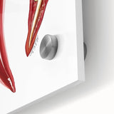 Large abstract wall art featuring assorted fruits in vibrant colors on acrylic glass, suitable for dining room decor.