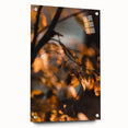 Large abstract wall art depicting autumn trees in orange and red hues on acrylic glass.
