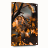 Large abstract wall art depicting autumn trees in orange and red hues on acrylic glass.
