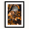 Extra large abstract art print with textured autumn colors on a black framed canvas, ideal for living room decor.