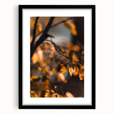 Extra large abstract art print with textured autumn colors on a black framed canvas, ideal for living room decor.