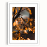 Abstract art print featuring swirling autumnal hues on a white framed canvas, ideal for dining room decor.