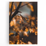 Black and white abstract design on large stretched canvas, ideal for kitchen wall art.