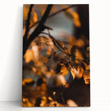 Large black and white stretched canvas depicting a tranquil forest in autumn, ideal for kitchen wall art or bedroom ambiance.