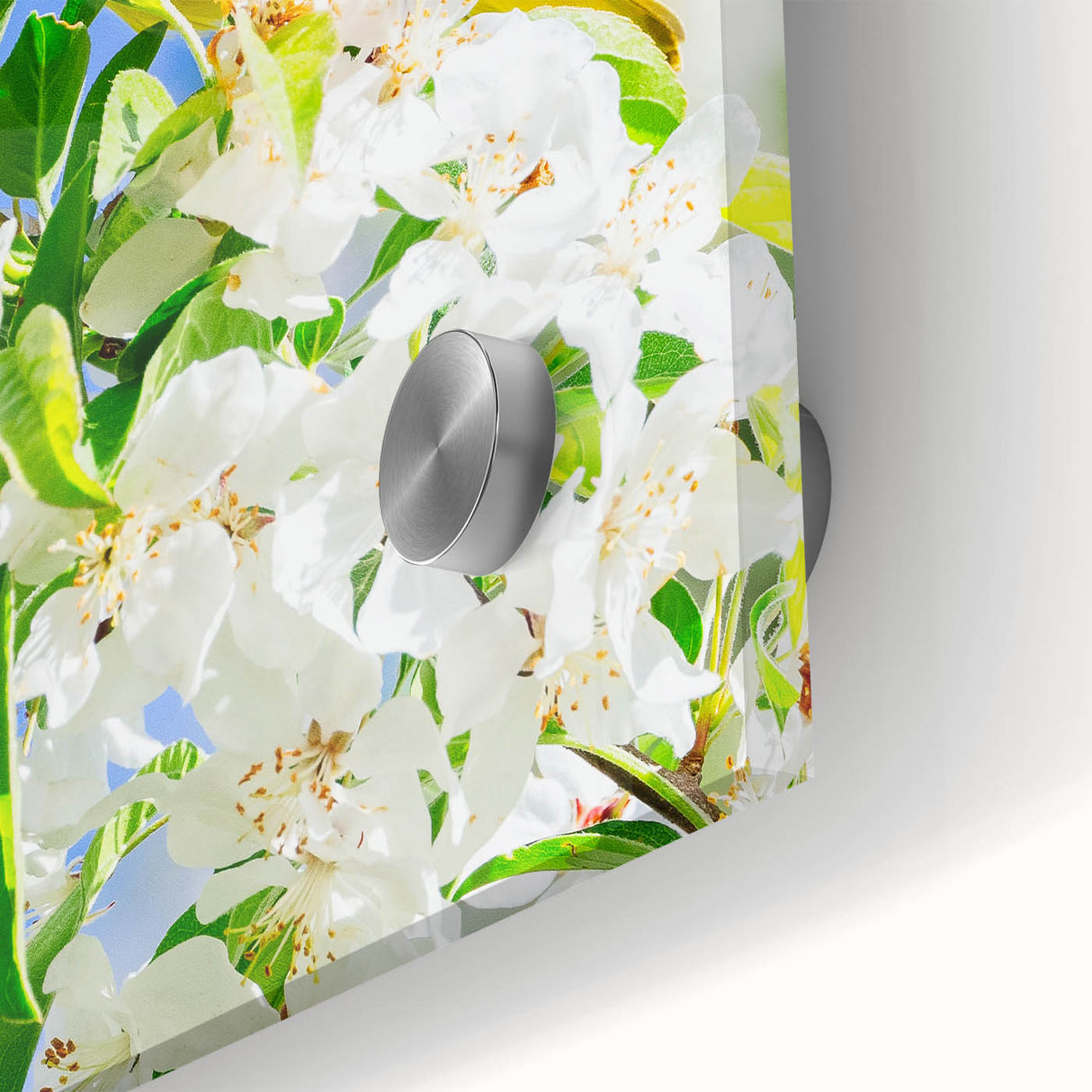Large abstract wall art in vibrant green and yellow tones on acrylic glass.