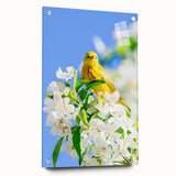 Large abstract wall art depicting springtime, with vibrant green and soft pink colors, printed on acrylic glass.