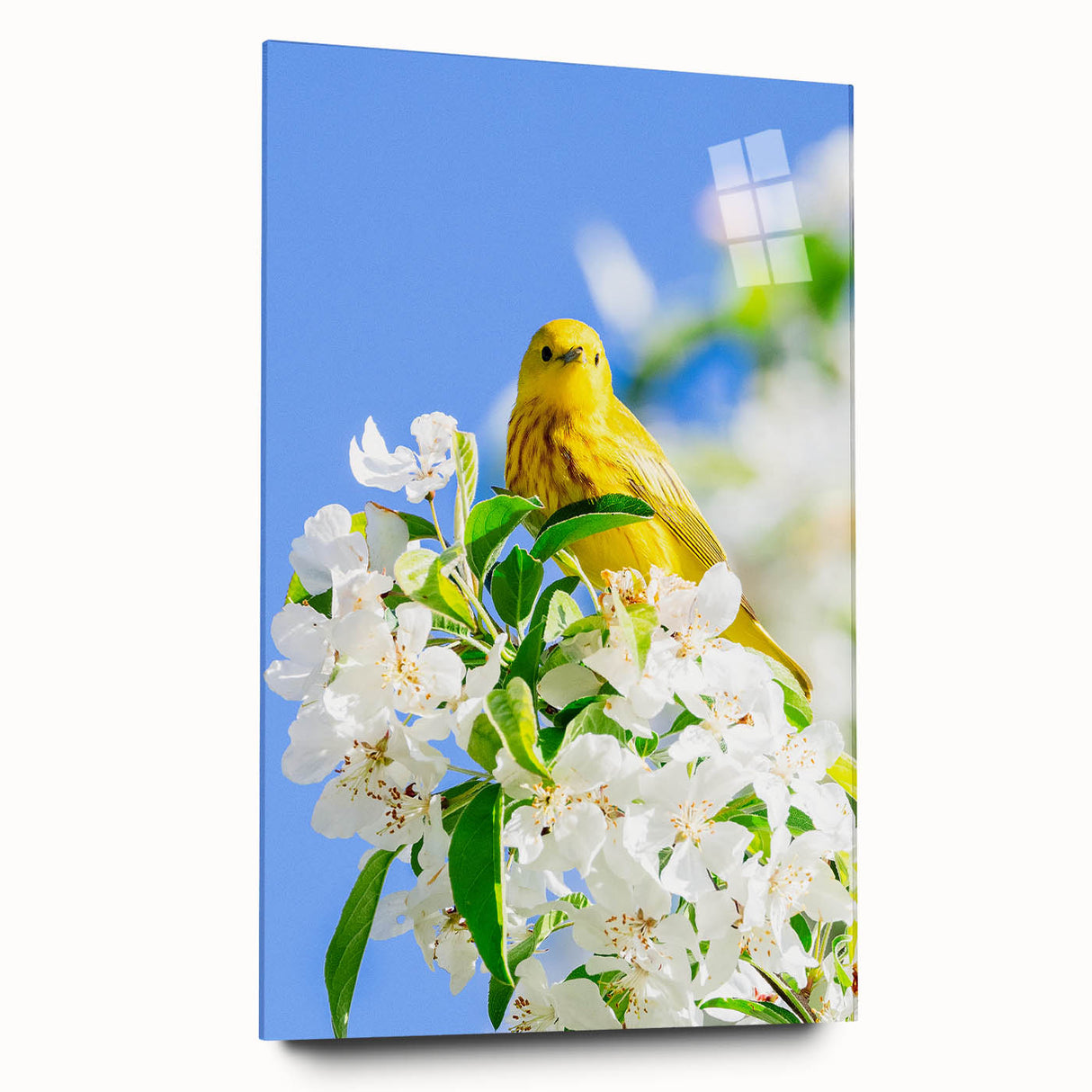 Large abstract wall art depicting spring themes in soft green and yellow tones on acrylic glass.