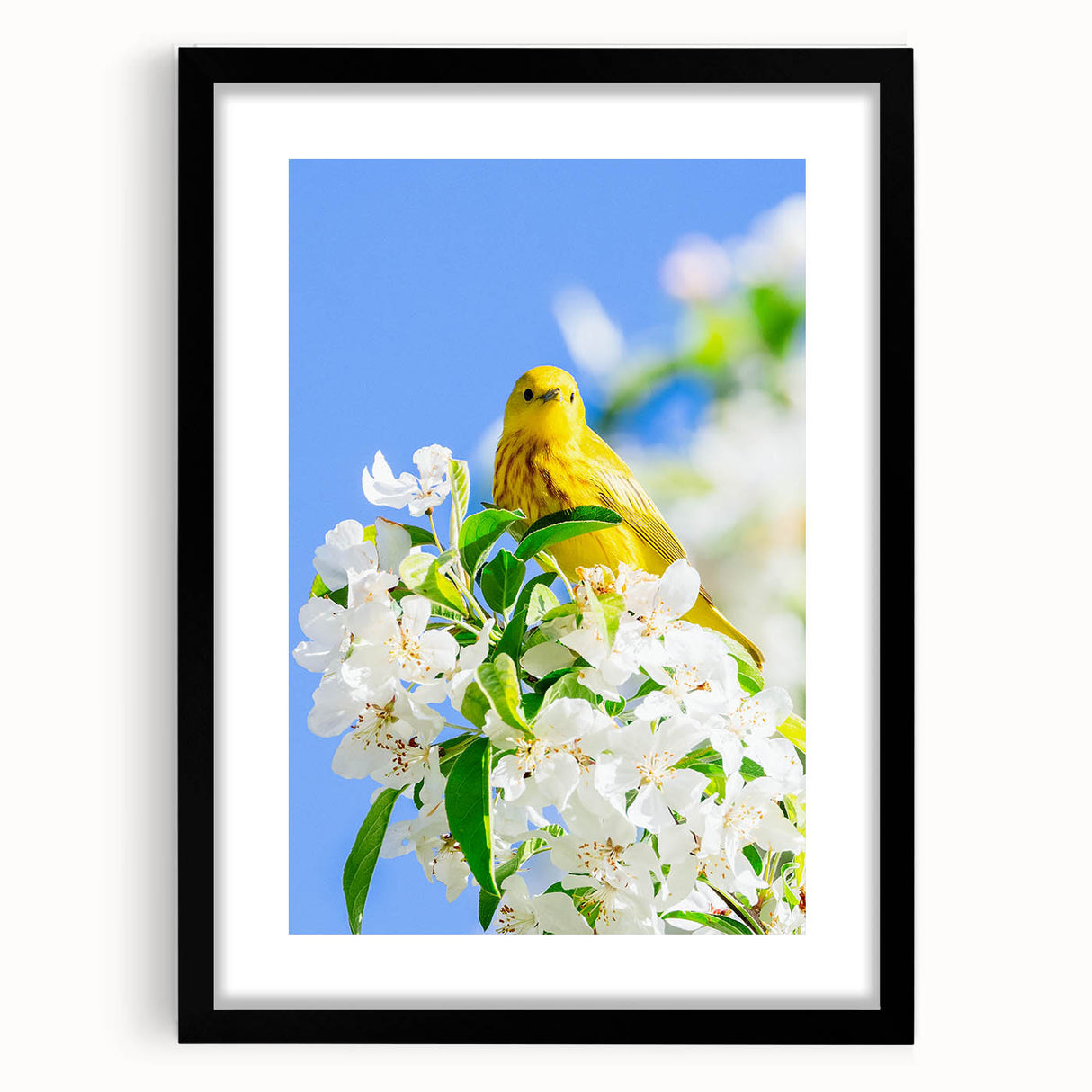 Extra large abstract art print featuring vibrant spring hues on textured canvas, framed in black.