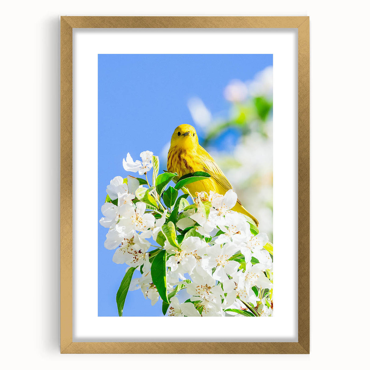 Extra large abstract art print with textured design in vibrant spring hues on a gold-framed canvas.