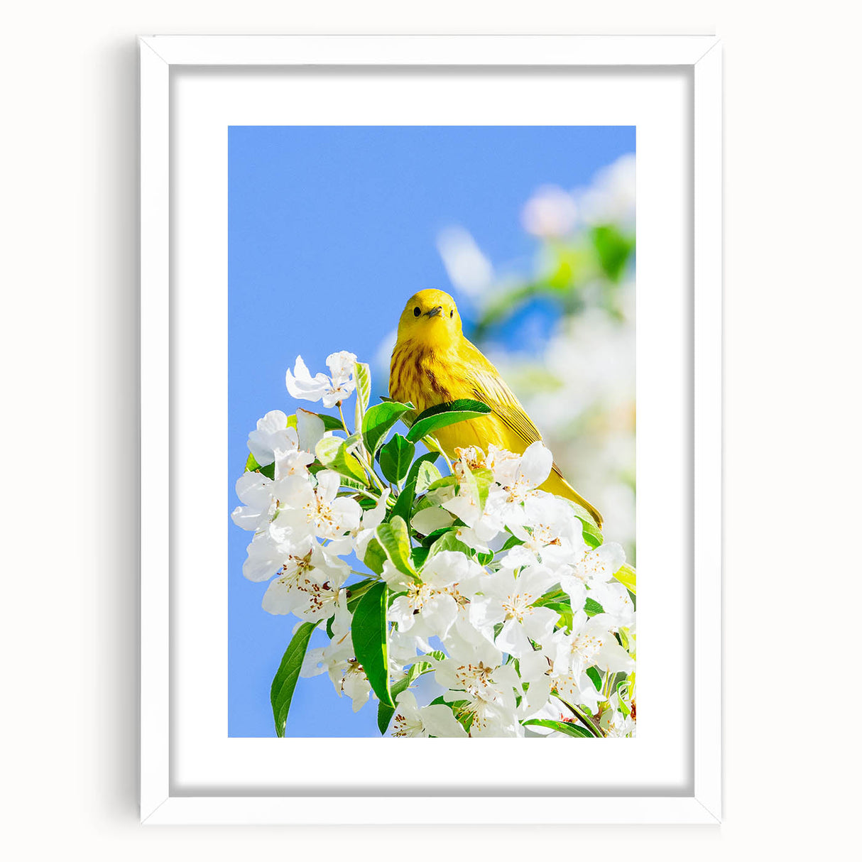 Abstract art print depicting spring with vibrant green and soft yellow tones on a white framed canvas.