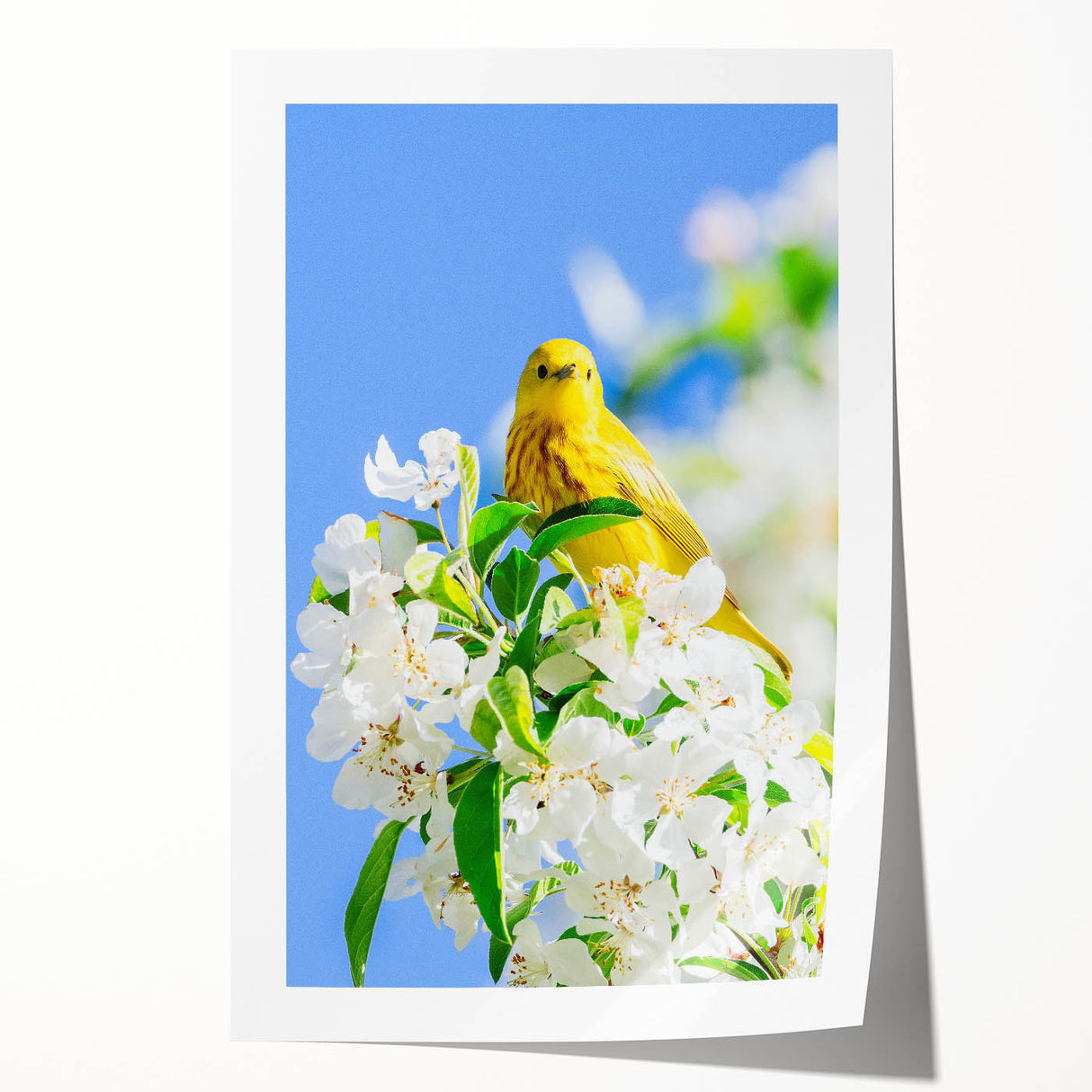 Spring-themed floral art on rolled canvas, featuring soft pastel colors, ideal for dining room or bathroom wall decor.