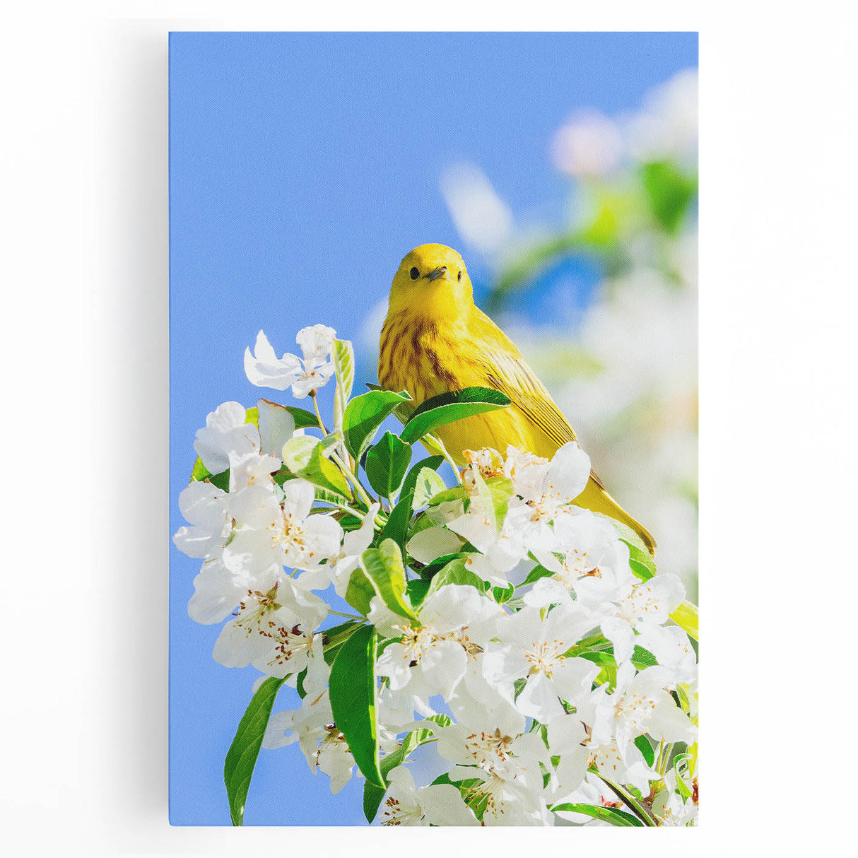 Large black and white abstract depiction of spring on stretched canvas, ideal for kitchen wall art.