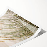 Extra large wall art featuring line art flowers in black on white, rolled canvas format, ideal for large living room decor.