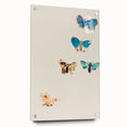 Modern Butterfly Artwork - Abstract Colorful Contemporary Wall Art