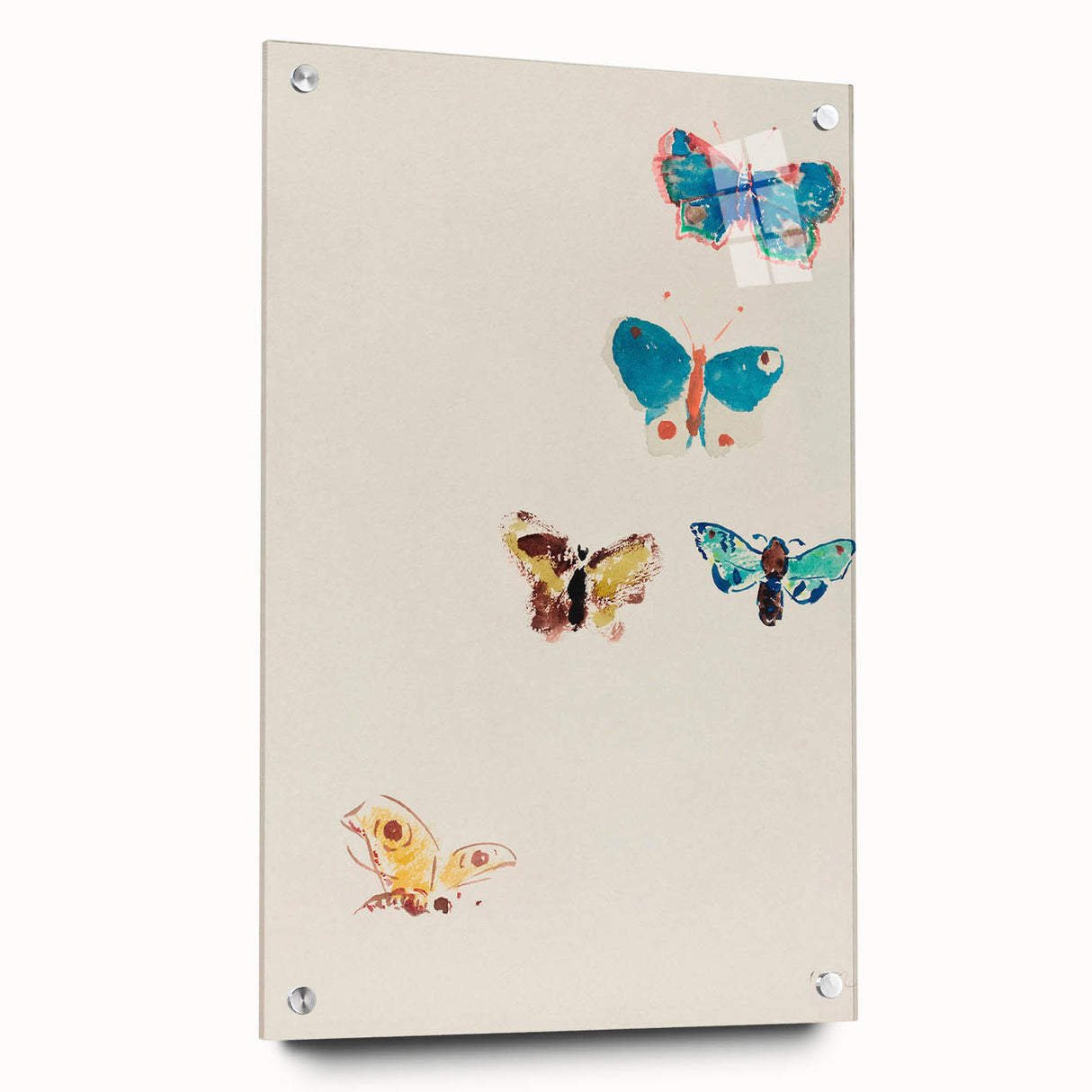 Modern Butterfly Artwork - Abstract Colorful Contemporary Wall Art