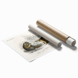 Romanticism Art - Raccoon Illustration by Charles D’Orbigny Print