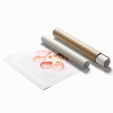 Ballerina Teddy with Balloons Print - Girls Bedroom Wall Art