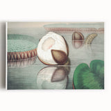 Victoria Regia Water Lily Realism Art Print - Classical Realism Canvas Decor