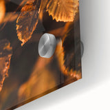 Large abstract wall art depicting autumnal trees in warm orange and red tones on acrylic glass.