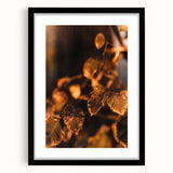 Extra large abstract art print featuring vibrant autumn hues on textured canvas, framed in black.