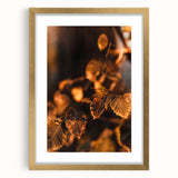 Extra large abstract art print in textured style with autumnal hues, framed in gold, suitable for living room decor.