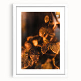 Abstract art print depicting autumnal trees in vibrant orange and red tones on a white framed canvas.