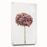 Large abstract wall art in pastel shades on acrylic glass, ideal for bedroom or dining room decor.