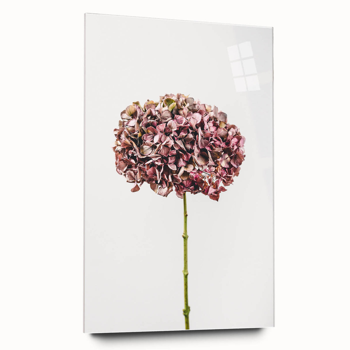 Large abstract wall art in vibrant spring colors on acrylic glass, ideal for bedroom or dining room decor.