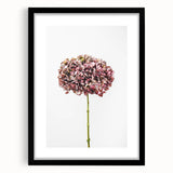 Extra large abstract art print featuring vibrant spring colors and textured finish, framed in black.