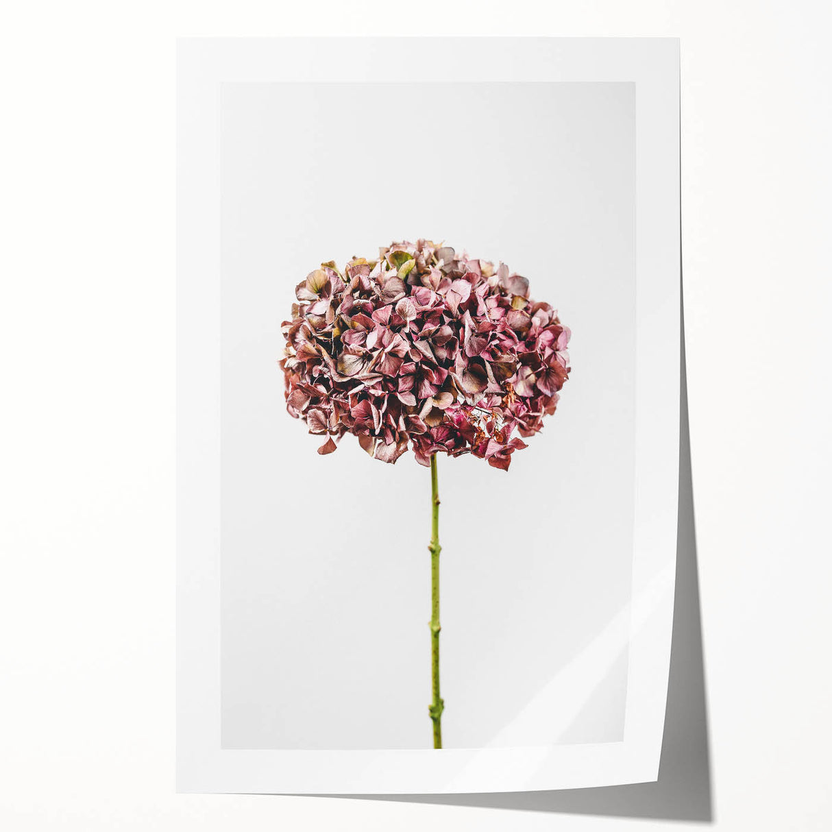 Rolled canvas print featuring spring-themed floral art in pastel colors, ideal for dining room wall art.